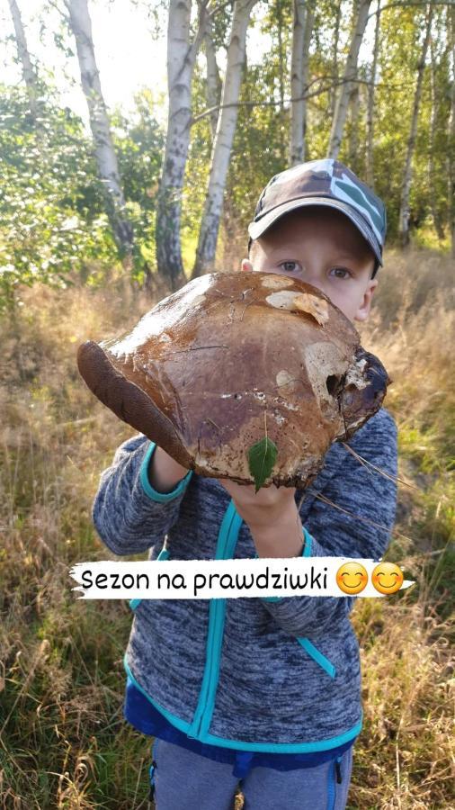 Aris Pokoje Goscinne Wojnicz Экстерьер фото